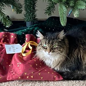 Meet your Posher, Renee